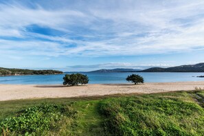 Beach - Sandy Bear Guesthouse (Palau)