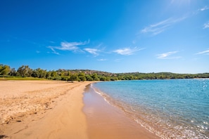 Family Apartment, 1 Bedroom, Microwave (Sandy Bear Guesthouse) | Beach - Sandy Bear Guesthouse (Palau)