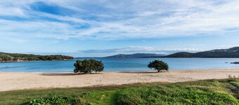 Sandy Bear Guesthouse