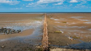 A beach with a wooden jetty extending into the water, a clear sky, and a distant shoreline.