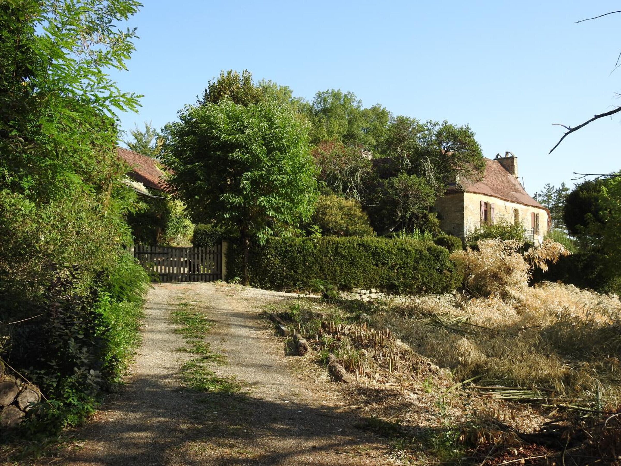 A rural pathway leading to a stone house with a red roof, surrounded by dense greenery and a wooden fence.