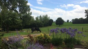 A rural landscape with cows grazing, surrounded by lush greenery and flowering plants.