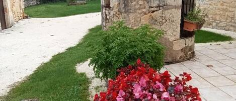 Áreas de la propiedad