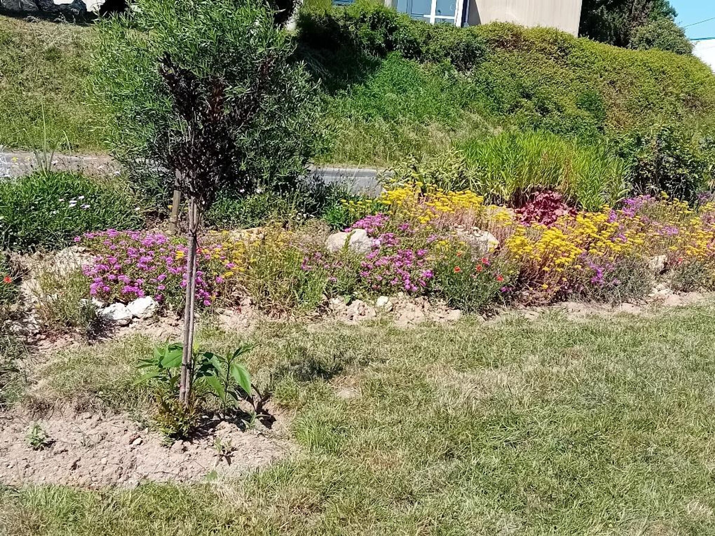 En vackert anlagd trädgård med ett stort utbud av blommande växter och ett litet träd.