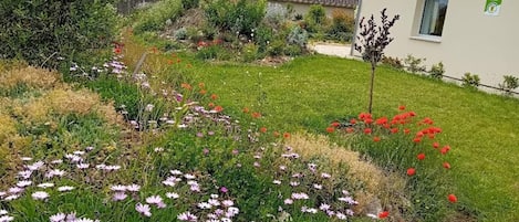 A garden with various flowers and a building with a tiled roof.