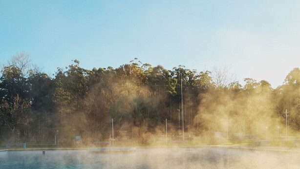 Una piscina cristalina con patrones visibles bajo el agua, rodeada de árboles y un cielo despejado.