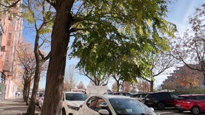 A street lined with parked cars and trees, with buildings in the background. - Hostel Las Rosas (Madrid)