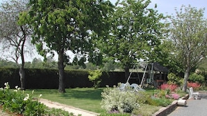 A garden with a variety of plants and flowers, a pathway, and a bench.
