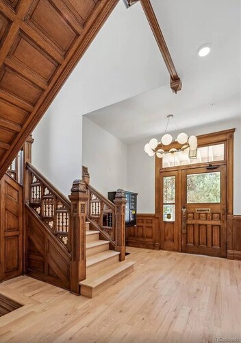 Lioness Downtown Den