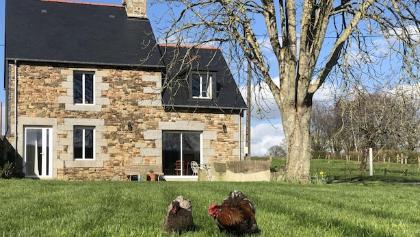 A stone house with a black roof, a grassy yard, and two chickens. - Charming countryside house with large green area (Marcilly)