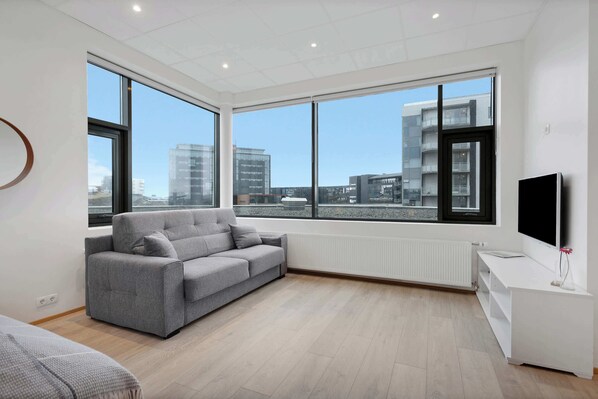 Fernseher, Arbeitsbereiche