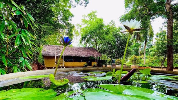 A pond with lily pads and a thatched-roof structure in a lush garden. - Harambathenna Resort Anuradhapura (Anuradhapura)