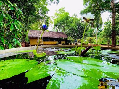 Harambathenna Resort Anuradhapura