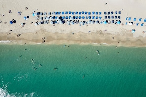 An aerial view of a beach with rows of blue umbrellas and lounge chairs, a sandy shore, and clear turquoise water. - Waterfront Pool • Beach Service • 7th Floor (Hallandale Beach)