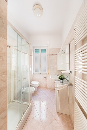 Shower, hair dryer, bidet, towels