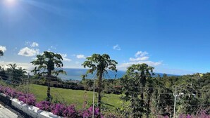 A garden with a view of the ocean, a fence, and various plants.