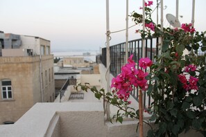 Vista desde la habitación