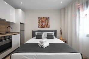Deluxe Studio 25m2 | Individually decorated, individually furnished, cribs/infant beds
