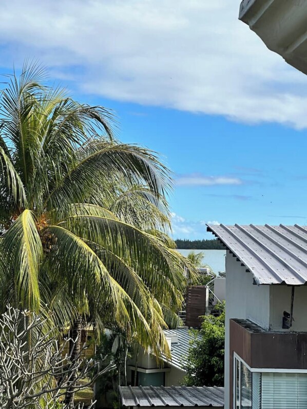 A residential area with a large palm tree, a house with a metal roof, and a body of water in the background.