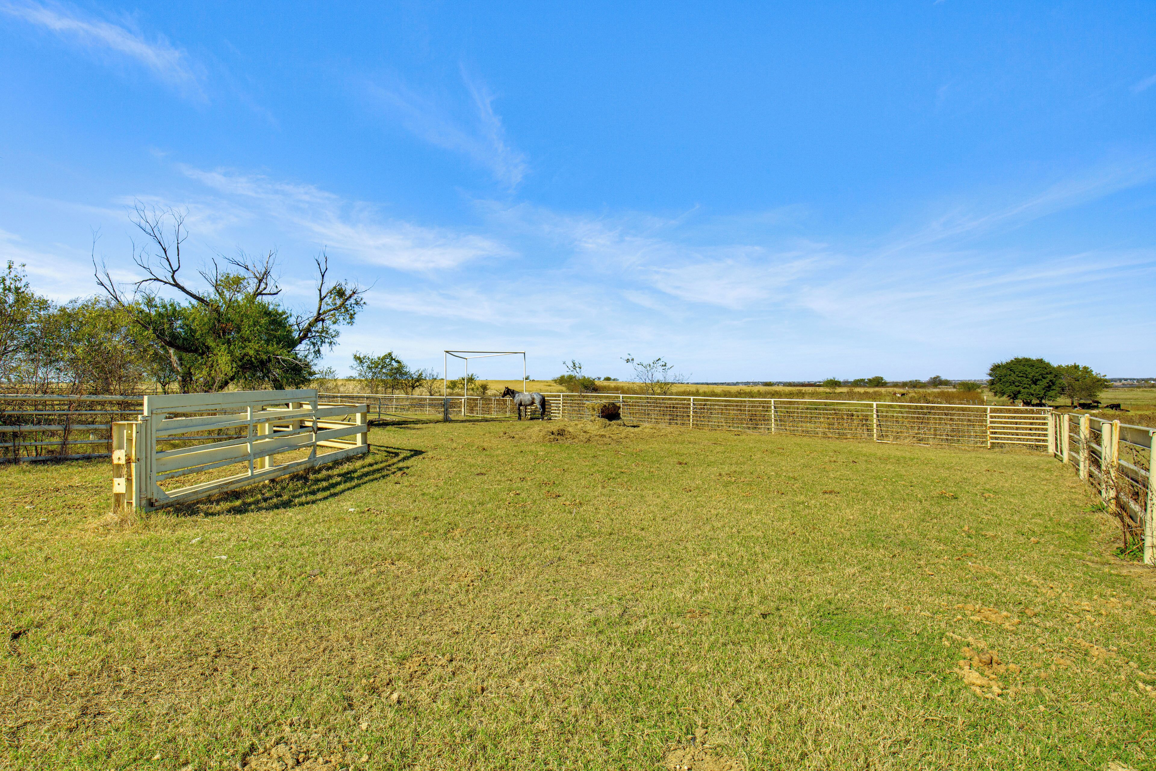 A fenced outdoor area with a horse and a stable structure.