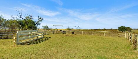 A fenced outdoor area with a horse and a stable structure.