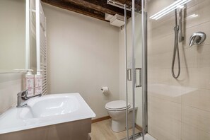 Shower, hair dryer, bidet, towels