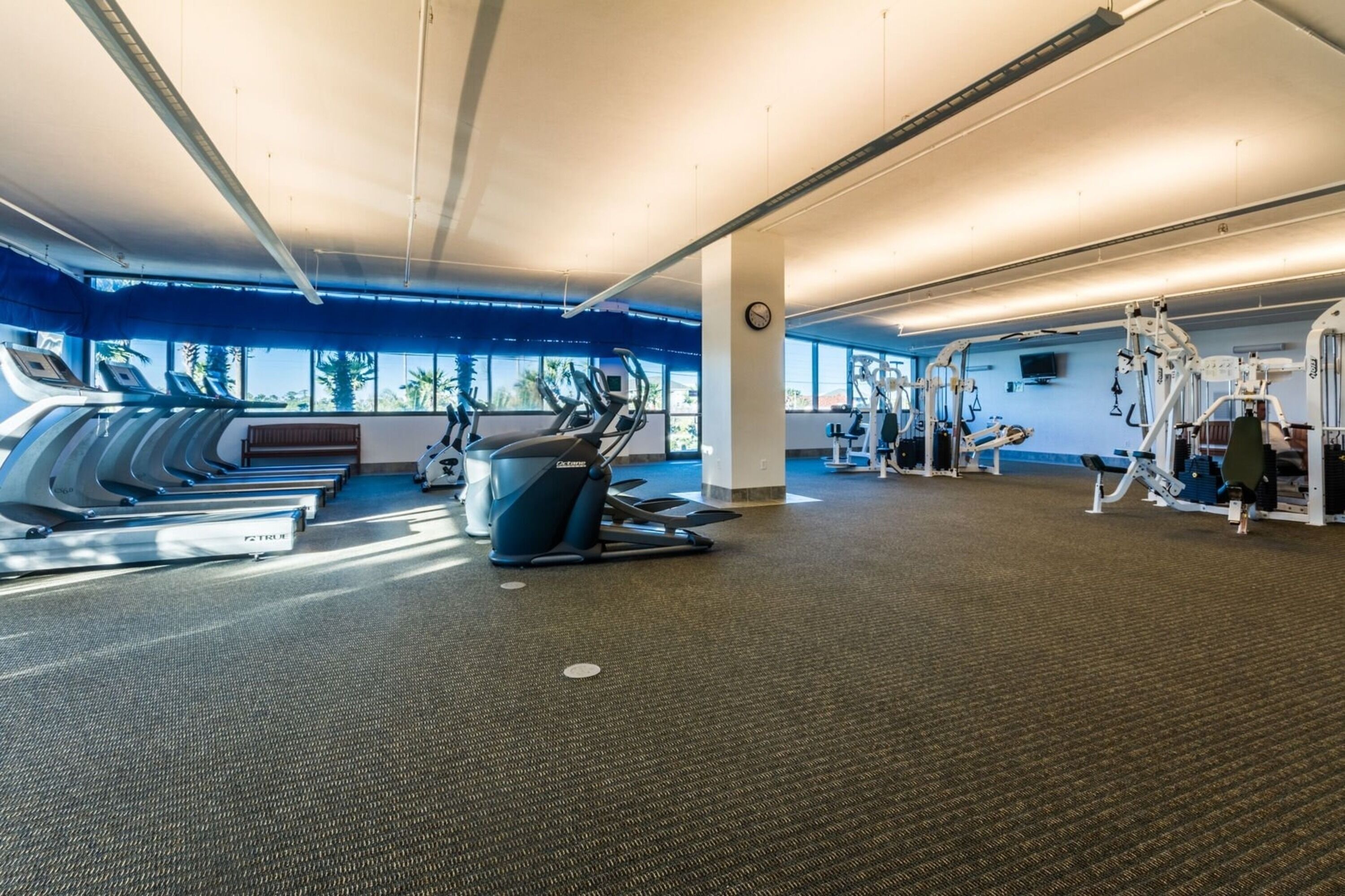 Ein Fitnessstudio mit Laufbändern, Crosstrainern und Kraftgeräten.
