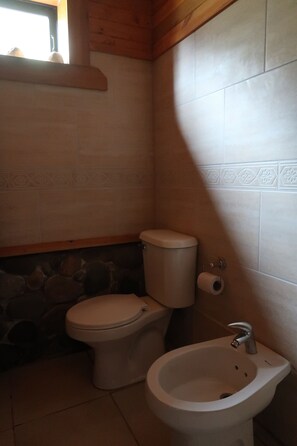 Combined shower/tub, towels, toilet paper - La Bella Patagonia (Cisnes)
