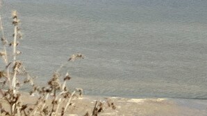 Una playa con cielo despejado y mar tranquilo.