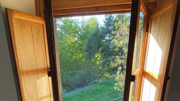 A room with a skylight, wooden flooring, and a view of greenery outside.