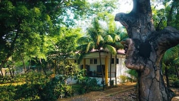 Ulkopuoli