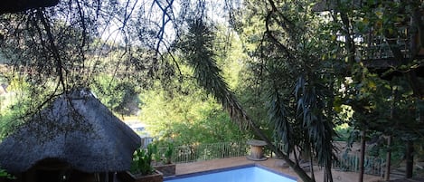 Jardín