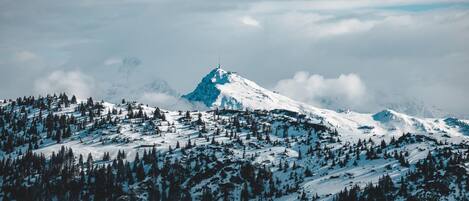 A snow-covered mountain with a peak, surrounded by dense forests.
