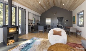 TV connectée, cheminée, jeux vidéo, chaîne hi-fi