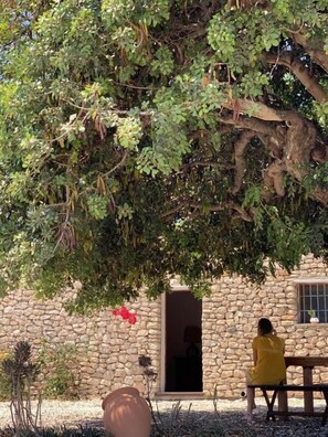 Exterior - CT 354 AL - Casa Piedra (Nijar)