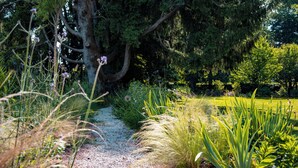 A gravel path leading through a garden with various plants and trees. - Villa Solatia (Caldogno)