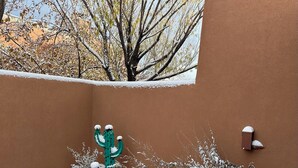A cactus in a snowy garden with a brown wall and a tree visible through a window. - Casa Feliz is waiting for you!
 (El Prado)