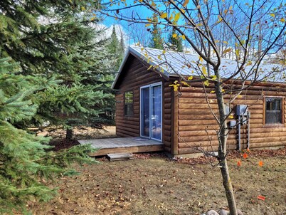Charming 1-bedroom cabin, quiet neighborhood in Grand Marais, pet friendly
