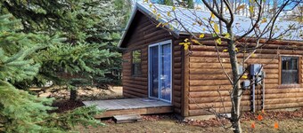 Charming 1-bedroom cabin, quiet neighborhood in Grand Marais, pet friendly