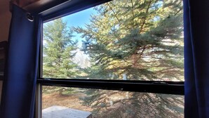 Une fenêtre donnant sur une terrasse en bois et un arbre à feuilles persistantes.