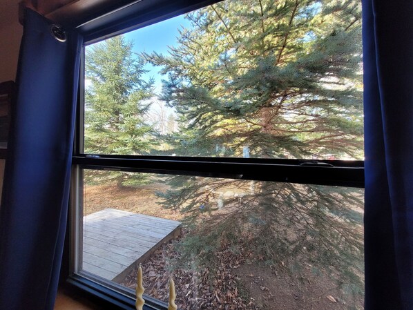A window with a view of a wooden deck and a coniferous tree.