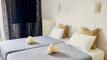 Habitación Confort con 2 camas individuales | Wifi gratis