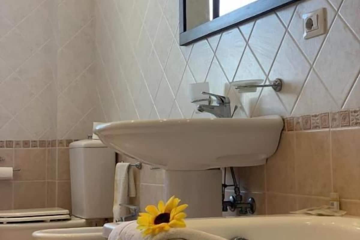 Standaard tweepersoonskamer, uitzicht op stad | Badkamer | Een haardroger, handdoeken, zeep, shampoo