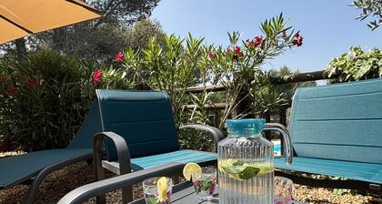 Mas 70 m2 entiÚrement climatisé - Golf de Pont Royal - Parking Jardin Piscine