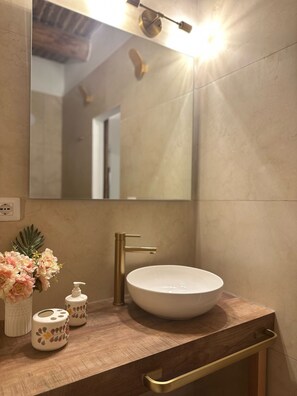 Shower, hair dryer, bidet, towels