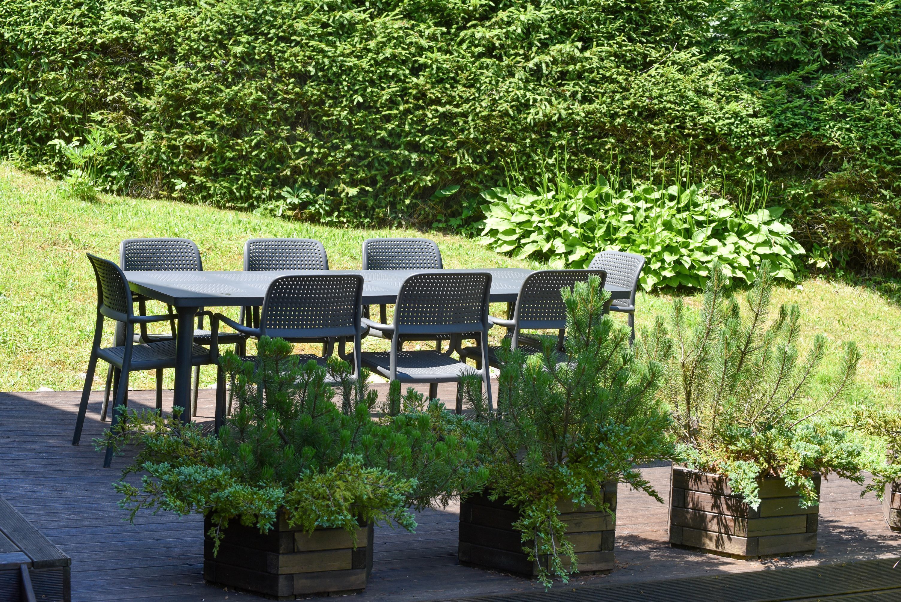An outdoor seating area with a table and chairs, surrounded by greenery and plants.