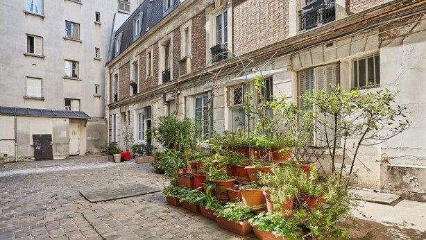 Un patio con camino de ladrillo, plantas en macetas y un edificio con varias ventanas y balcones.