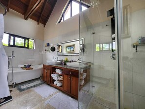 Chuveiro, secador de cabelo, toalhas de banho, sabonete