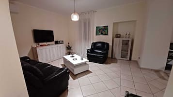 Télévision, cheminée, jeux vidéo, lecteur de DVD