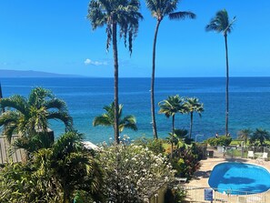 Zona de piscina con vista al océano y palmeras.